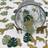 Shein 100pcs Jungle Animals Paper Confetti