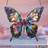 Shein Stained Glass Effect Acrylic Butterfly Suncatcher 7.1 x 7.9 in Decorative Item