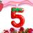 Shein Red Strawberry Number 0-9 Themed Birthday Candles