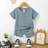 Shein Baby Boy Pocket T-Shirt And Shorts Set