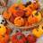 Shein 6pcs Fake Faux Velvet Foam Pumpkins Decoration Artificial Plant