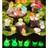 Shein Mini Luminous Mushrooms 20pcs
