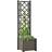 vidaXL Garden Planter with Trellis - Anthracite 43x43x142cm