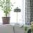 PR Home Mossgrön 50 cm Bordslampa
