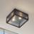 Lindby Udendørs Loftlampe Bolgar Sort Metal Glas Loftplafond
