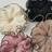Shein 4 pieces chiffon lace hair bows in French style for daily use, holidays and casual occasions, elegant accessory