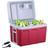 Arebos 40L Thermoelectric Cold Box Red