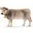 Schleich Brun Schweizisk Ko 13874