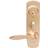 Assa Abloy Entrance B1 Brass
