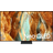Samsung TQ55QN77F