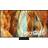 Samsung TQ55QN74F