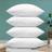 Shein 2 Packs Soft Peach Skin Polyester Festive White Throw Pillow Covers | Three Sizes, Machine Washable, Hidden Zipper, Perfect For Outdoor Patio, Garden, Balcony And Indoor Sofa Decor - Pillow Insert Not Included Hovedpudebetræk Hvid (30x50cm)