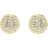 Swarovski Meteora Stud Earrings - Gold/Transparent