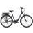 Trek Verve + 1 Lowstep 400 Wh