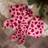 OHS Heart Print Cosy Hot Water Bottle Set Pink