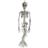 Horror-Shop Skelettierte Meerjungfrau 45cm