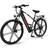 26" Electric Bike 250W 36V 8Ah Battery Unisex