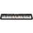 Casio LK-S250AD Black