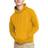 Hanes Men's EcoSmart Fleece Hoodie