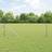 vidaXL Euro Fence With 7 Spike Posts 0.4x10 m
