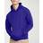 Hanes Men's EcoSmart Fleece Hoodie