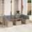 vidaXL 10 Piece Garden Sofa Beige Poly Rattan Outdoor Lounge Set