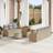 vidaXL 10 Piece Garden Sofa Beige Poly Rattan Outdoor Lounge Set