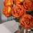 Shein Fired Roses Simulation Flower Artificial Plant