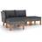 vidaXL 3059709 Loungesæt, borde inkl. 2 sofaer