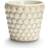 Mateus Bubbles - Sand Espresso Cup 10cl