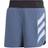 adidas Men's Terrex Agravic Trail Running Shorts - Wonder Steel