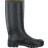 Aigle Cessac