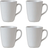 aida Raw Crafted Arctic Mugg 35cl 4st