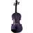 stentor SR1401 Harlequin 4/4 Purple