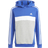 adidas Tiberio 3-Stripes Colorblock Fleece Hoodie Barn Semi Lucid Blue White Grey Heather