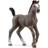 Schleich Horse Club 2023 New Horses, Horse Toys for Girls and Boys Cheval de Selle Francais Foal Horse Toy Figurine, Ages 5