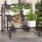 OutSunny 3-Tier Metal Plant Stand 60 x 60 x 60 cm