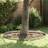 vidaXL Garden Lawn Edging 4 Pcs 450 x 15 cm