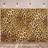 Shein Leopard Print Photography Background Banner