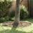 vidaXL Garden Lawn Edging 4 Pcs 450 x 10 cm