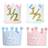 Shein 1pc 1/2 Crown Birthday Hat