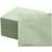Shein 2-Ply Sage Green Disposable Napkins 10 x 10 Inches