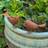 Temu Pair Of Rustic Metal Birds Outdoor