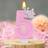 Shein Pink Crown Birthday Cake Candles 0-9