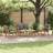 vidaXL Garden Sofa 4 pcs Natural Solid Teak Wood Brown Outdoor Lounge Set