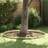 vidaXL Lawn Edging Grey 15 x 1000 cm Steel