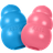 Kong Puppy M Pink/Blue