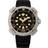 Citizen Promaster (BN0220-16E)