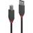 Lindy USB A-USB B 2.0 10m
