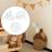 Shein 6pcs Transparent Baby Proof Electrical Outlet Covers